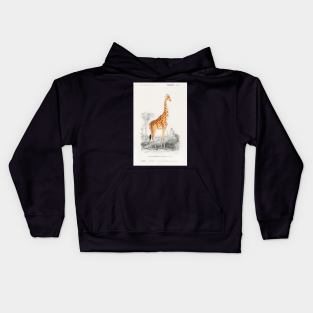 Giraffe (Giraffa camelopardalis) Kids Hoodie